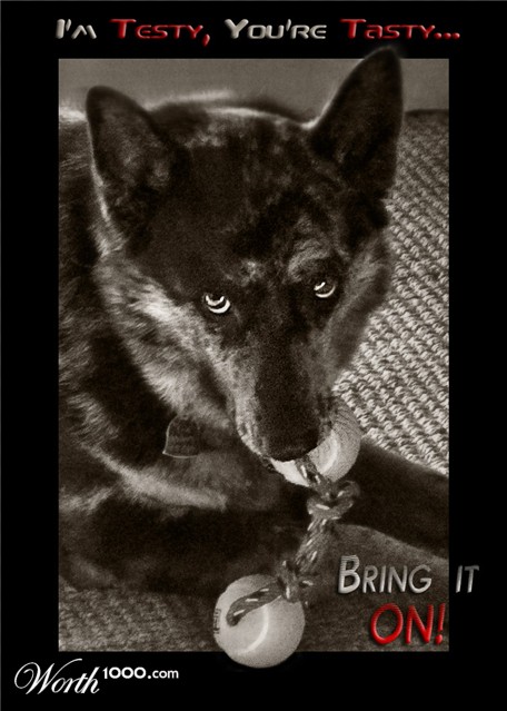 Photography by GoldenWreckedAngle