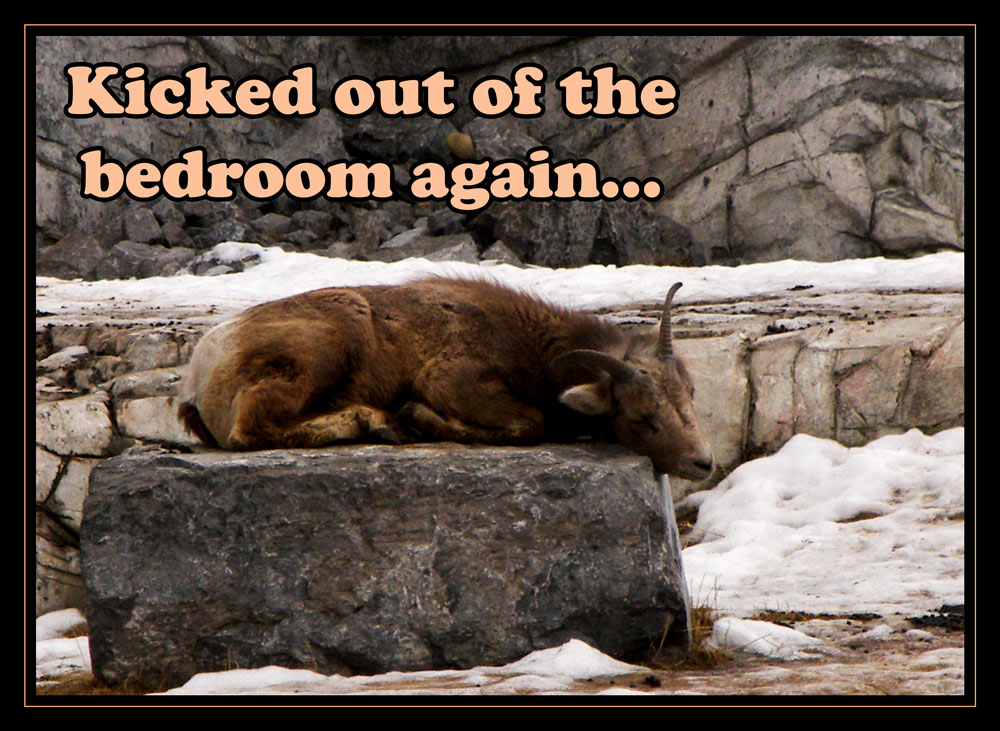 Fotografie von crattay21cuc für DesignCrowd (Community Contests) | Design #8996128