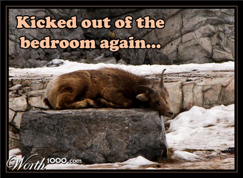 Photography by crattay21cuc