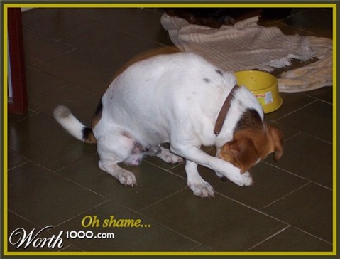 Photography by yavannilde