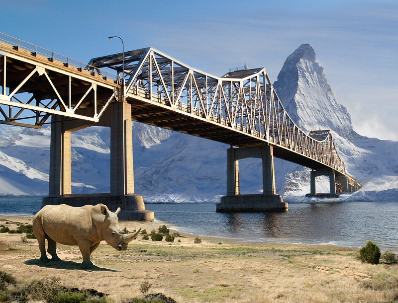 Photoshop-Design von DjangoLizell für DesignCrowd (Community Contests) | Design #8990848