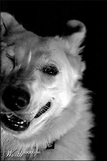 Photography by mated1976