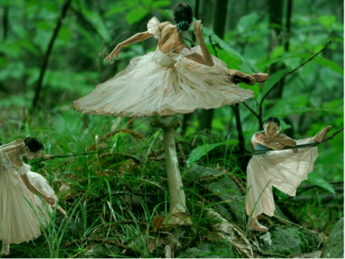 Photoshop Design by SeitNZounde for DesignCrowd (Community Contests) | Design #8992758