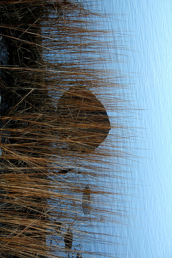 Photography by heidiinc for DesignCrowd (Community Contests) | Design #8994757