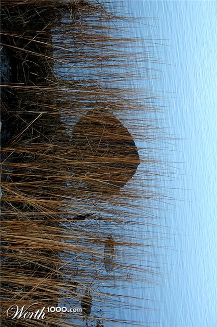 Photography by heidiinc