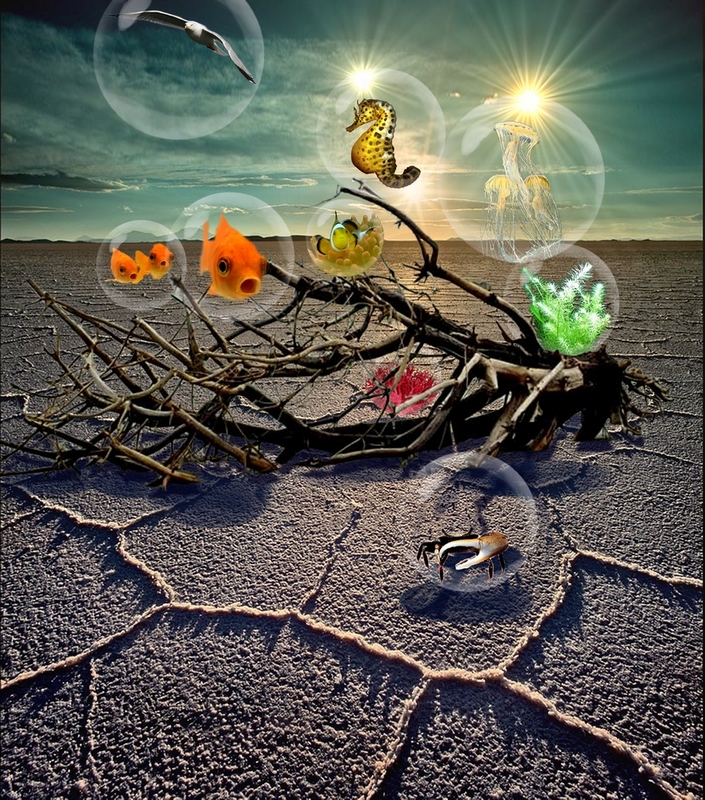 Diseño de Photoshop por elbebeach para DesignCrowd (Community Contests) | Diseño #8991184