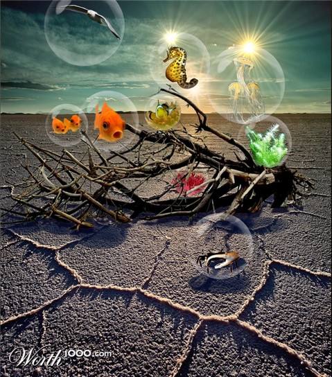 Photoshop Design by elbebeach