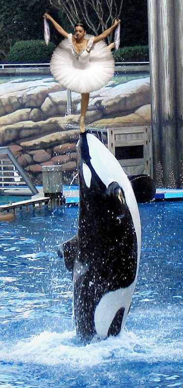 Photoshop Design by MissGator for DesignCrowd (Community Contests) | Design #8992786