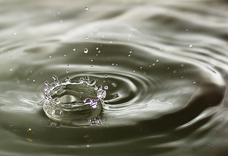 Photography by burns529 for DesignCrowd (Community Contests) | Design #8991621