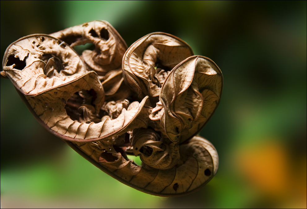 Photography by Pr4ktic for DesignCrowd (Community Contests) | Design #8994122