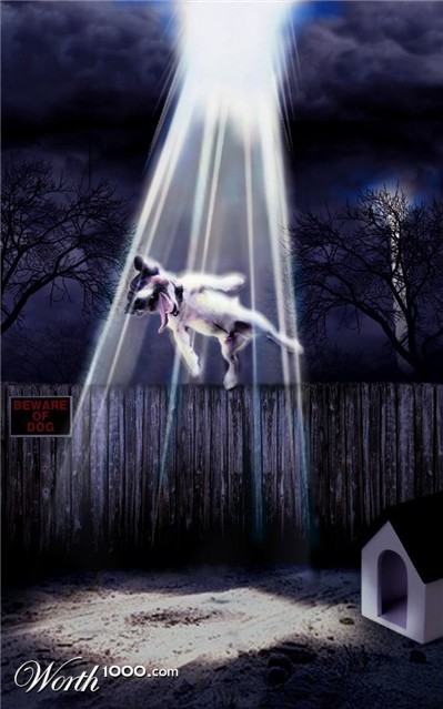 Photoshop Design by HopePhoto