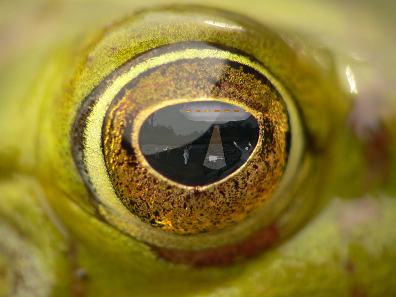 Diseño de Photoshop por Rocksham para DesignCrowd (Community Contests) | Diseño #8994901