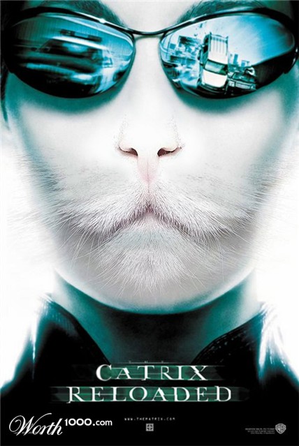 Photoshop Design by amro550