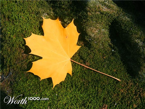 Photography by copr369