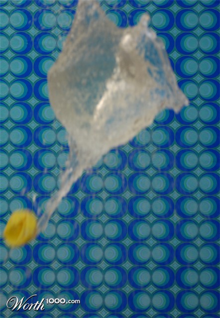 Photography by dcaruana