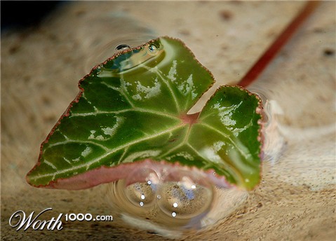 Photography by kimgarretson