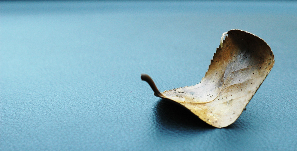 Photography by toscio for DesignCrowd (Community Contests) | Design #8994138