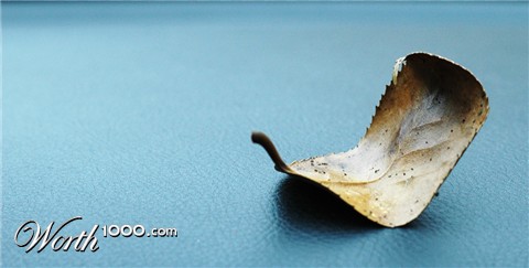 Photography by toscio