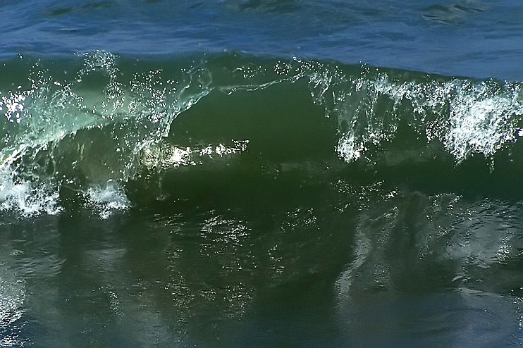 Photography by Hickster81 for DesignCrowd (Community Contests) | Design #8991720