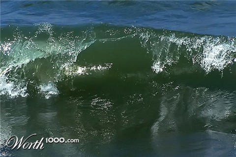 Photography by Hickster81