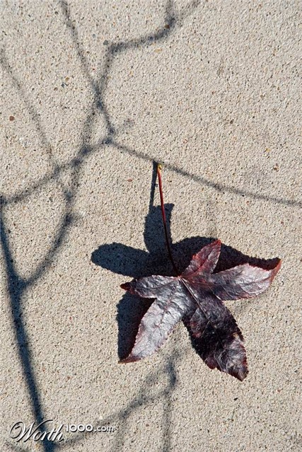 Photography by Fishcat