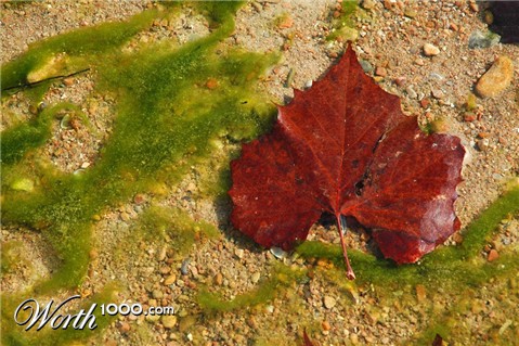 Photography by Lmorrow57