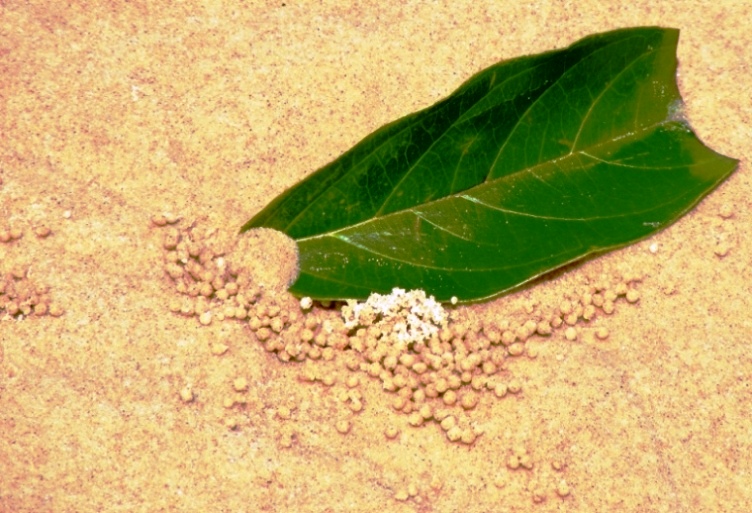 Photography by shoz95 for DesignCrowd (Community Contests) | Design #8994140