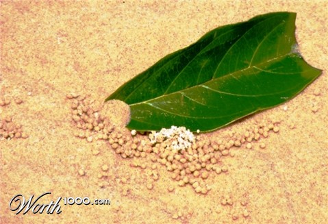 Photography by shoz95