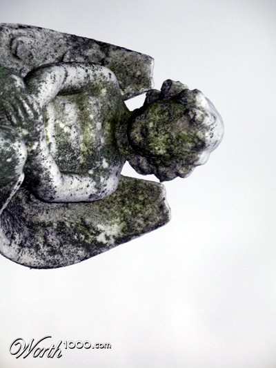 Photography by copierguy43215