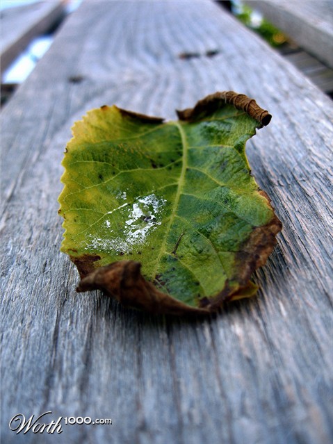 Photography by kandidat