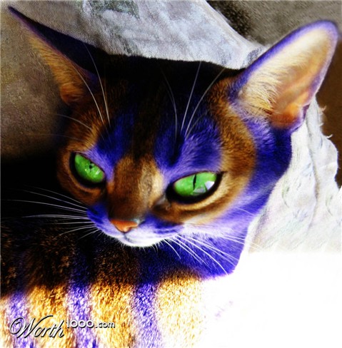 Photoshop Design by AlastairI