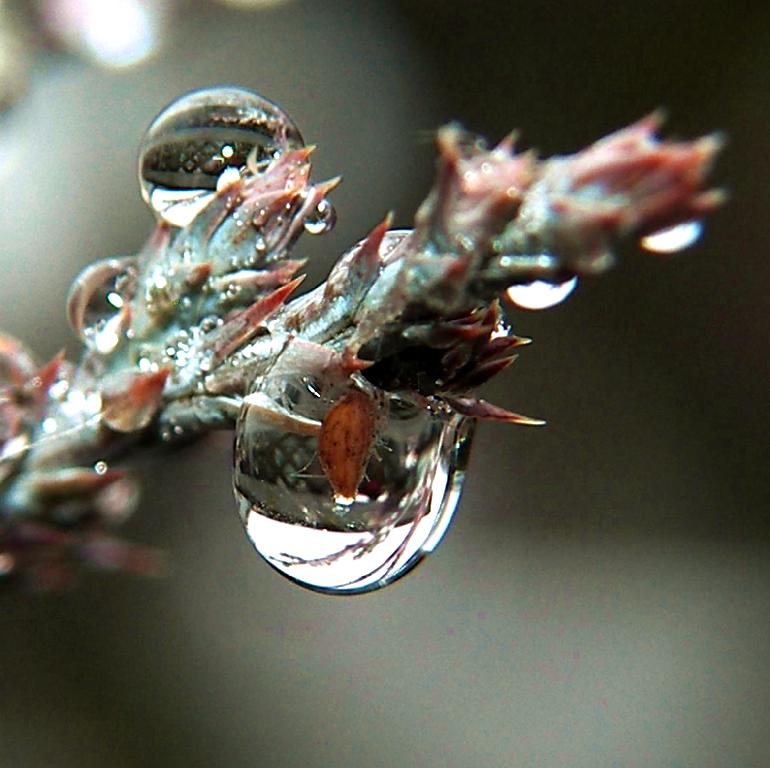 Photography by glenmar10 for DesignCrowd (Community Contests) | Design #8994166