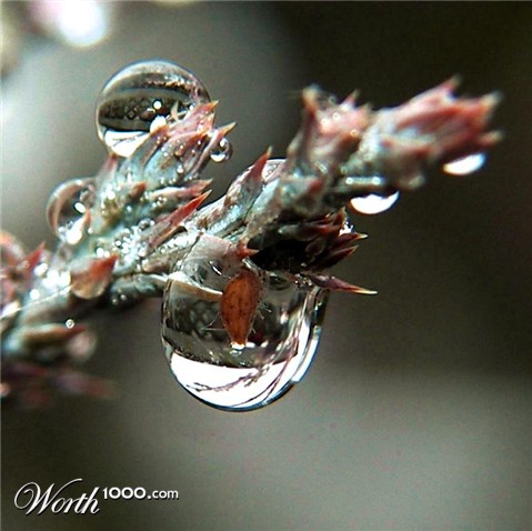 Photography by glenmar10