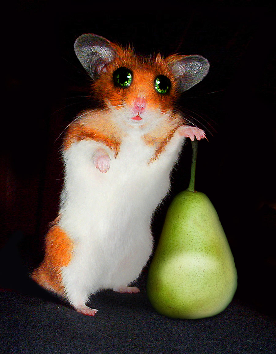 Photoshop Design by Polynic for DesignCrowd (Community Contests) | Design #8988693