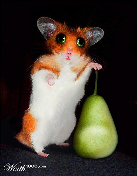 Photoshop Design by Polynic