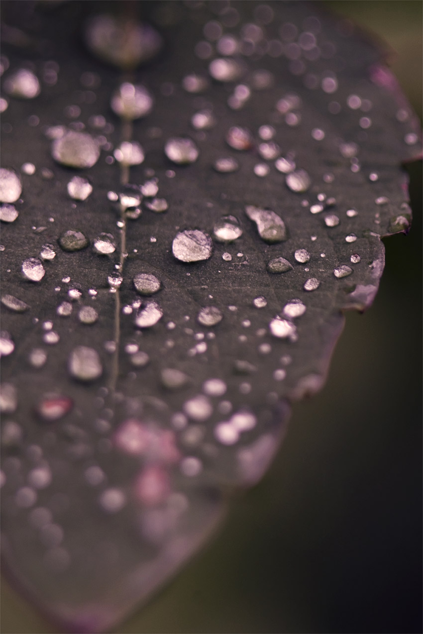 Photography by DeanReevesII for DesignCrowd (Community Contests) | Design #8994149