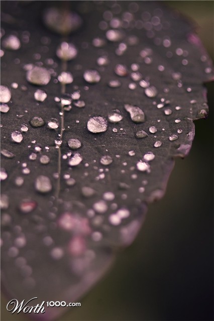 Photography by DeanReevesII
