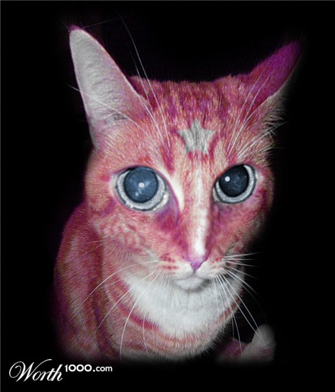Photoshop Design by amnell24