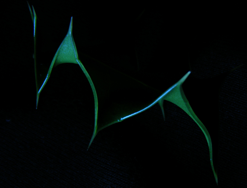 Photographie par Feature pour DesignCrowd (Community Contests) | Design #8994171