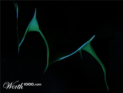 Photography by Feature