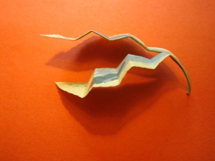 Photographie par deparis pour DesignCrowd (Community Contests) | Design #8994187