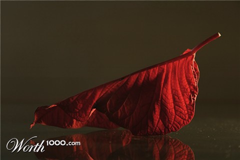 Photography by IsleofJura