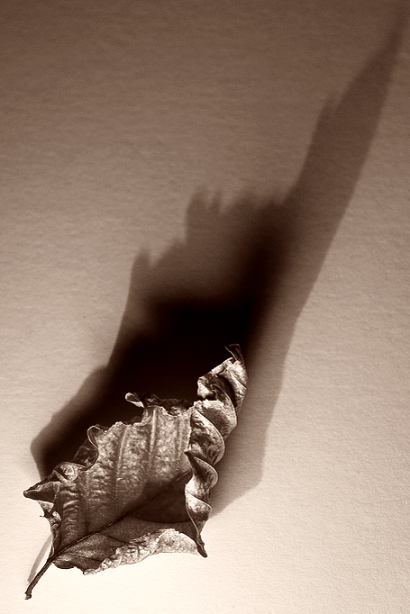 Fotografie von Marian für DesignCrowd (Community Contests) | Design #8994217