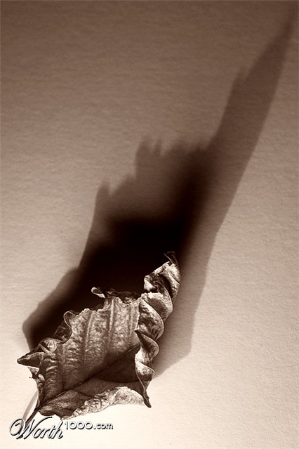 Photography by Marian