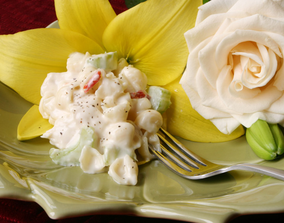 Photography by rosemountmn for DesignCrowd (Community Contests) | Design #8990912