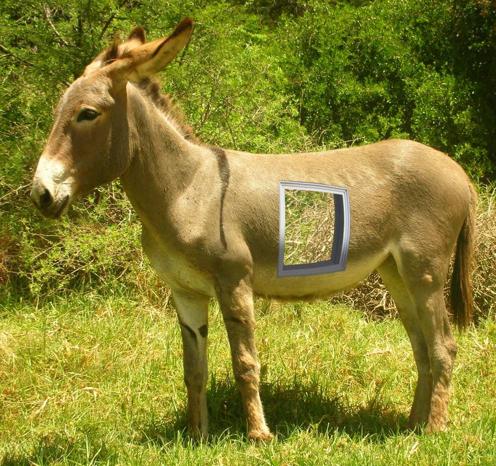 Photoshop Design by unstablefiend for DesignCrowd (Community Contests) | Design #8994158