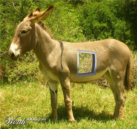 Photoshop Design by unstablefiend