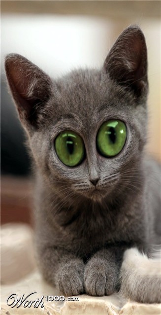 Photoshop Design by unstablefiend