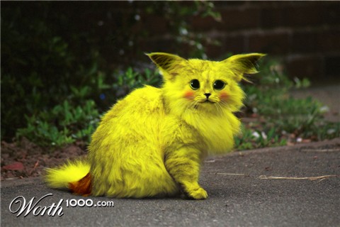 Photoshop Design by Nick Novell