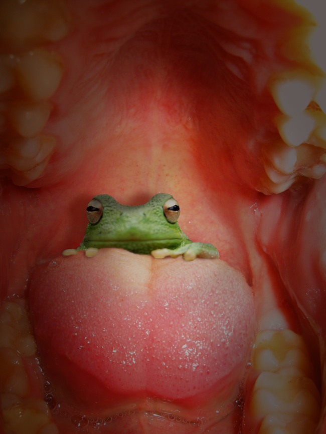 Design Photoshop par Sassydeb pour DesignCrowd (Community Contests) | Design #8994164